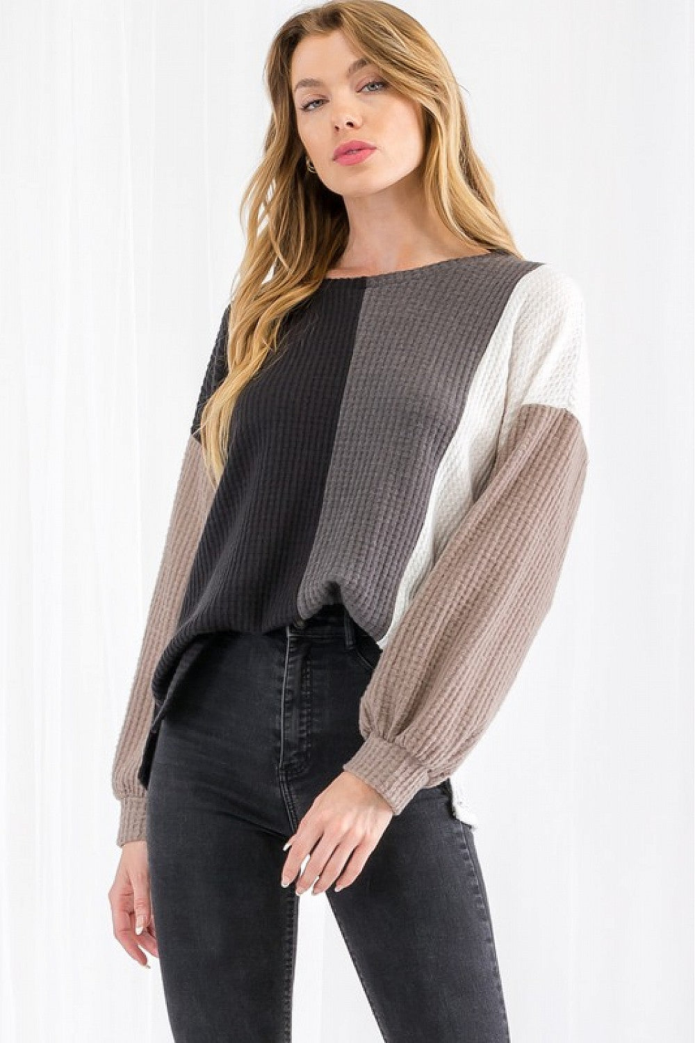 Color Blocked Neutral Tone Top (plus)