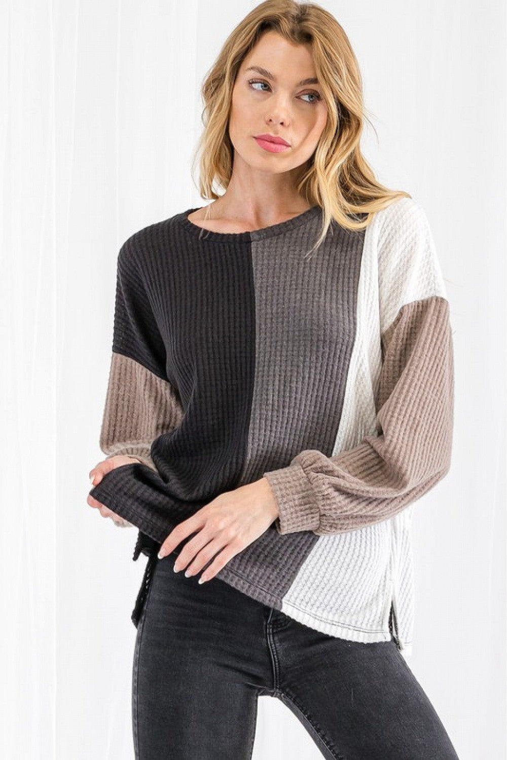 Color Blocked Neutral Tone Top (plus)