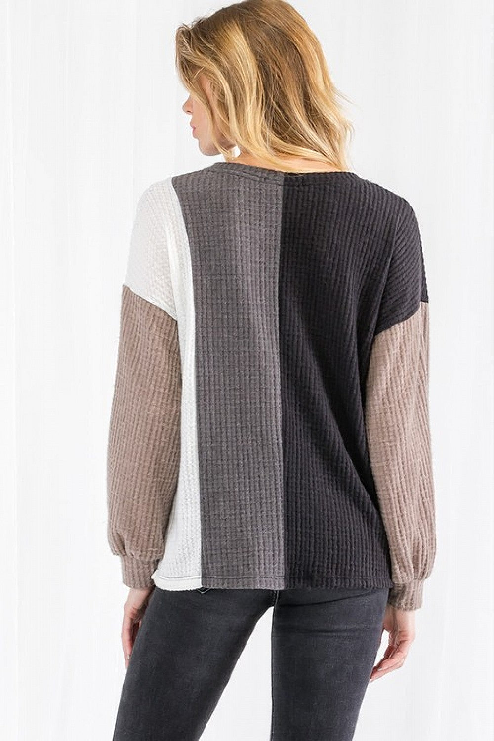 Color Blocked Neutral Tone Top (plus)