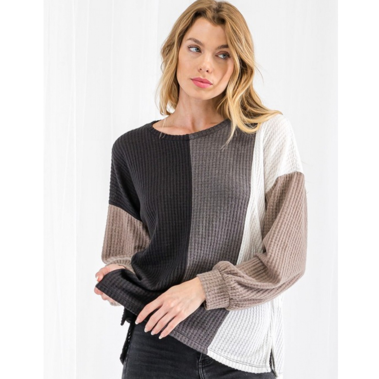 Color Blocked Neutral Tone Top (plus)