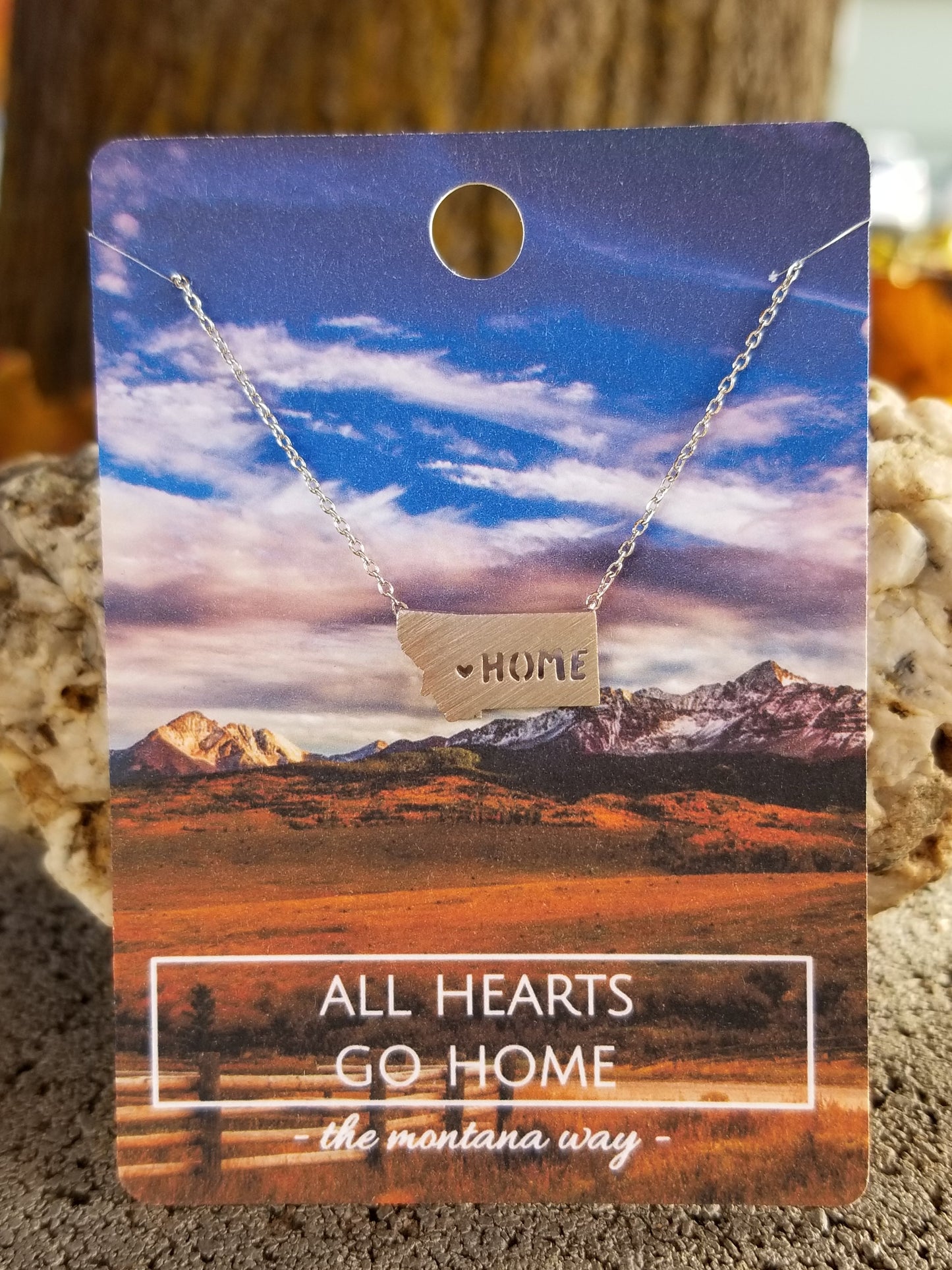 All Hearts Go Home Montana Necklace - Silver